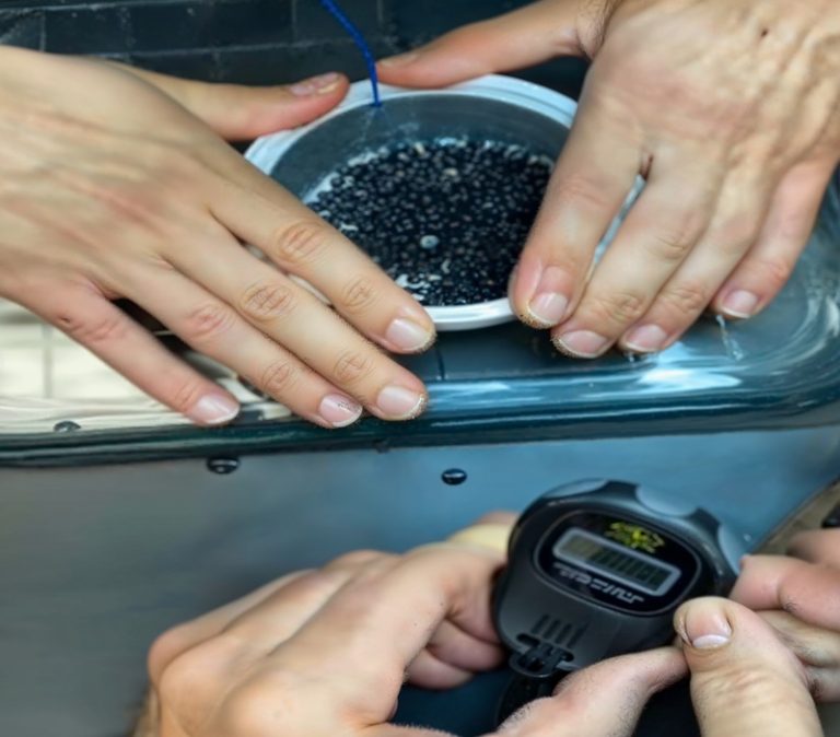 Hot Therapy Packs (Cosmetics)